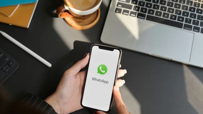 Cara Melihat Pesan yang Sudah Dihapus di WhatsApp Web, Mudah Tanpa Aplikasi