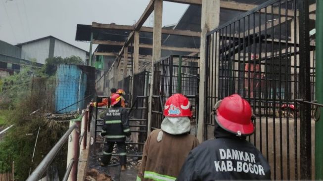 Kandang Kuda di Bogor Terbakar, 9 Kuda Mati Terpanggang