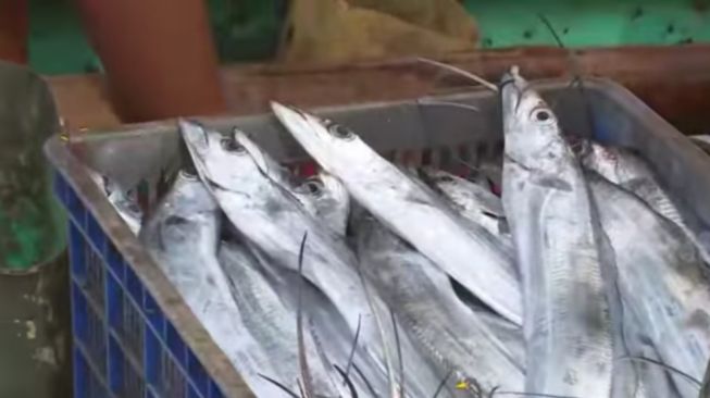 5 Manfaat Ikan Layur bagi Kesehatan yang Jarang Diketahui