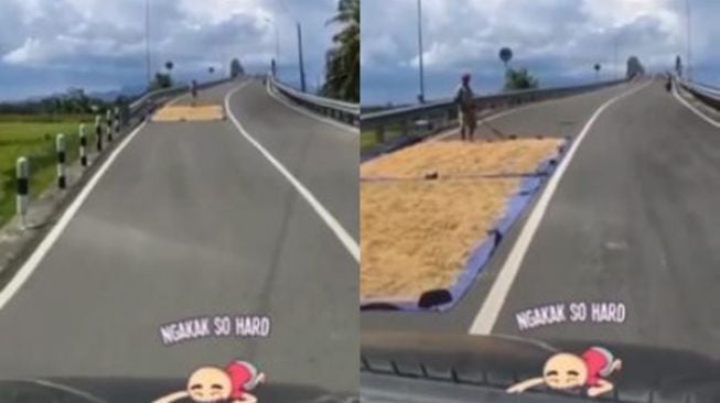 Viral Bapak-bapak Jemur Gabah di Jalan Layang, Warganet Ngelus Dada: Gak Ikhlas Pembebasan Lahan