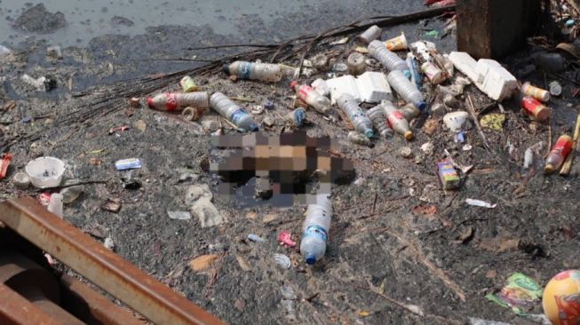 Sempat Dikira Boneka, Jasad Bayi Laki-laki Ditemukan Tewas Tersangkut Sampah Di Kali Sekertaris Kebon Jeruk