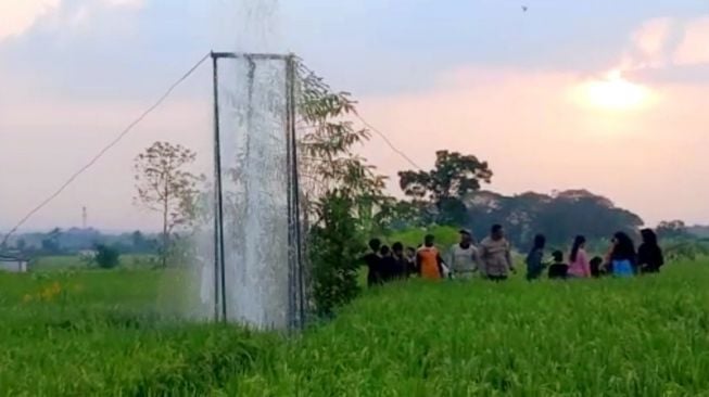 Buat Sumur Bor, Air Nyembur di Tengah Sawah Gegerkan Warga Dander