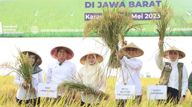 Tinjau Panen di Karawang, Wamentan Dorong Pemda Jaga Produktivitas Pertanian