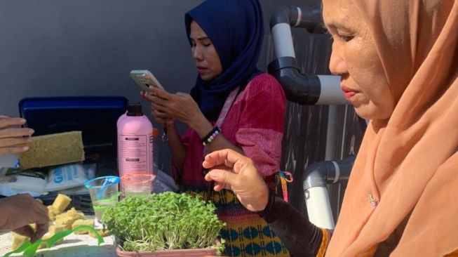 Urban Farming Kampung Sungai Pangeran Palembang Sumsel [Tasmalinda/Suara.com]