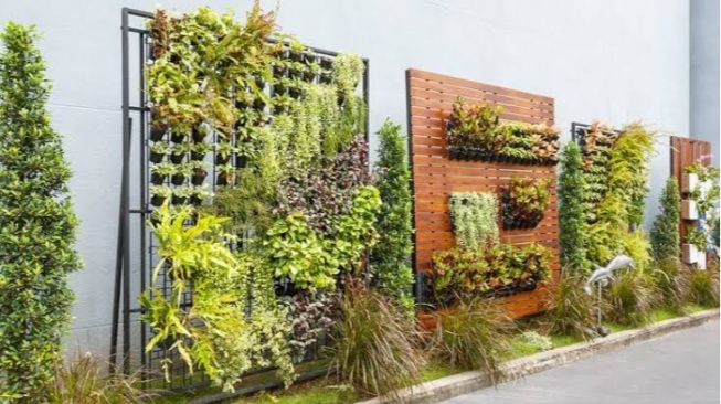 Manfaatkan Lahan Sempit, Ini 6 Tips Membuat Vertical Garden di Rumah