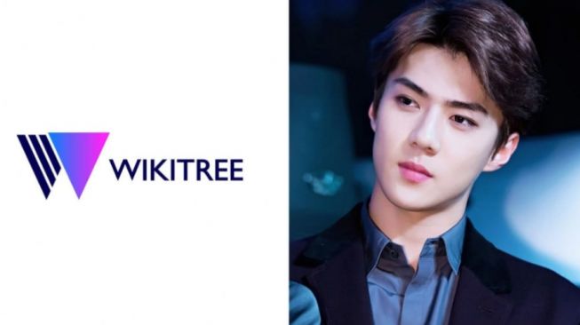 Sebut Sehun EXO Punya Kekasih yang Tengah Hamil, Wikitree Meminta Maaf