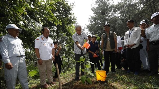 Gerakan Penghijauan Digencarkan untuk Cegah Banjir dan Pencemaran Lingkungan