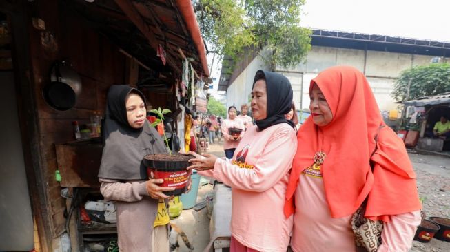 Rangkul Warga Penjaringan Jaga Ketahanan Pangan dengan Menanam Ratusan Pohon Cabai