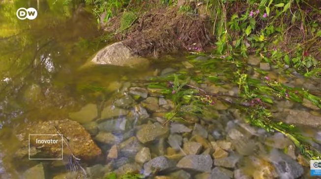 Ternyata Ini Rahasia yang Dilakukan Jerman untuk Menaturalisasi Sungai