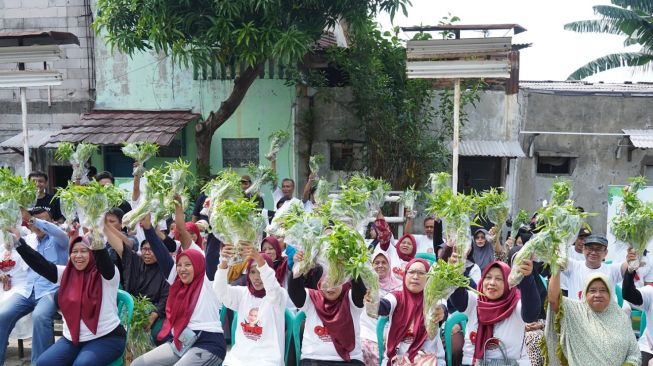OMG DKI Jakarta Bantu Renovasi Instalasi Media Tanam Hidroponik hingga Berbagi Sayur Hasil Kelompok Petani Kota