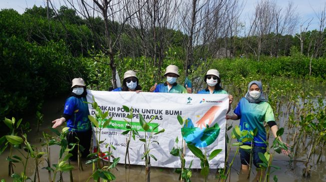 Program Penghijauan Usai Pandemi, LindungiHutan Tanam 450 Ribu Pohon di 42 Lokasi