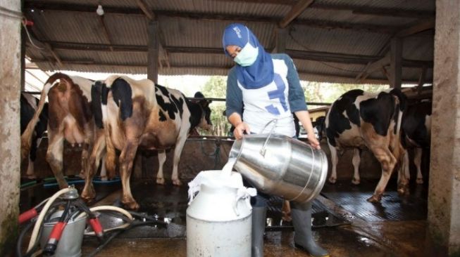 Hari Susu Nusantara Jatuh Setiap 1 Juni, Gizi Lengkap Apa Saja yang Terkandung di Dalamnya?