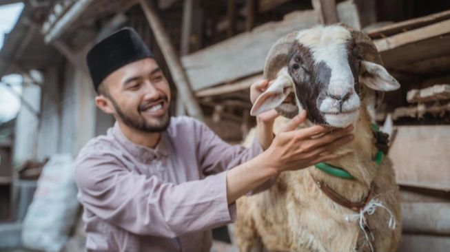 Bolehkan Aqiqah Digabung dengan Kurban? Buya Yahya: Musim Kurban Ya Kurban, Pahalanya Buat Kurban