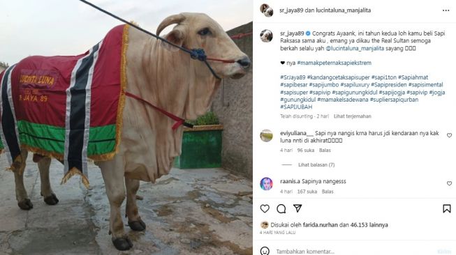 Unggahan soal Lucinta Luna [Instagram/@sr_jaya89]
