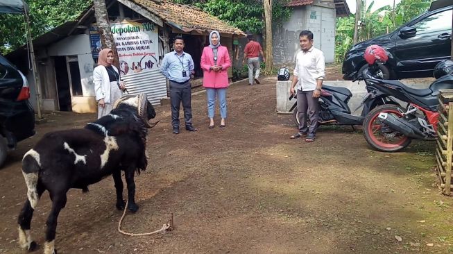 Jelang Idul Adha, DPKP Pandeglang Periksa Hewan Ternak