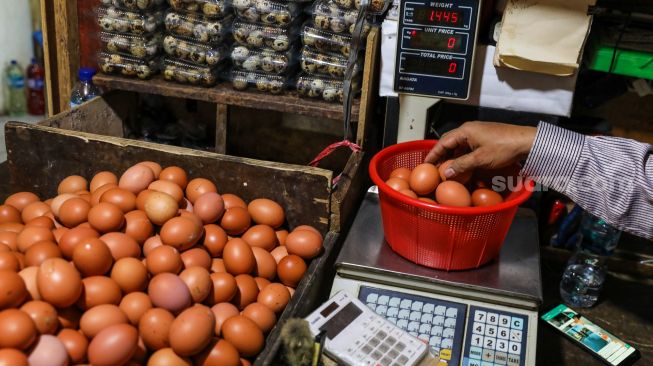 Pedagang menimbang telur ayam yang akan dijual di Pasar Tebet, Jakarta Selatan, Jumat (9/6/2023). [Suara.com/Alfian Winanto]