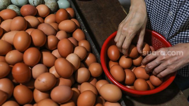 Tak Laku Dijual Karena Harga Naik, Banyak Telur Ayam di Palembang Membusuk