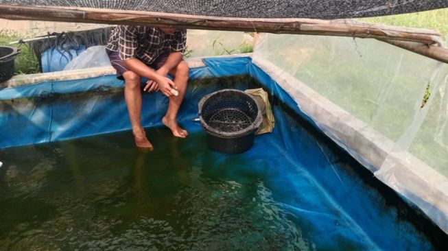 GMC Beri Pelatihan Anak Muda Banten Cara Budi Daya Ikan Lele