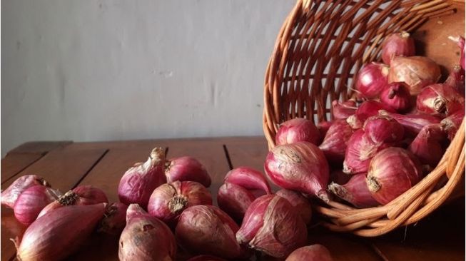 5 Manfaat Kulit Bawang Merah untuk Tanaman, Jangan Dibuang!