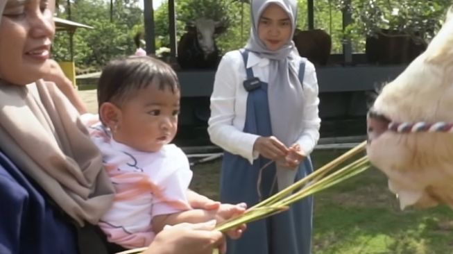 Potret Ria Ricis Siapkan Sapi Kurban ( YouTube/Ricis Official)