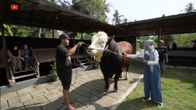 Potret Ria Ricis Siapkan Sapi Kurban ( YouTube/Ricis Official)