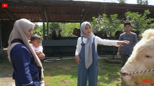 Potret Ria Ricis Siapkan Sapi Kurban ( YouTube/Ricis Official)