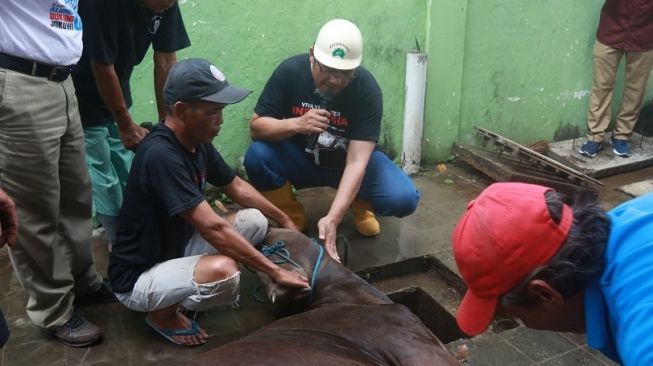 Jelang Idul Adha 2024, Pemkot Jogja Layani Penyembelihan Hewan Kurban di RPH Giwangan