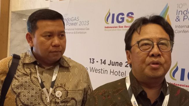 Penyediaan Infrastruktur Gas Harus Digenjot untuk Manfaatkan Momentum di Era Transisi Energi