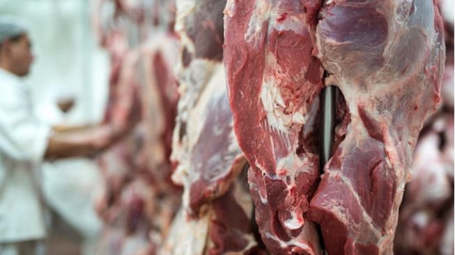 Pembagian 1/3 Daging Kurban Berapa Kilo? Begini Penjelasan Lengkapnya