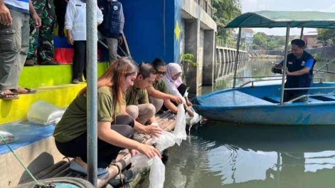 Peduli Ekosistem Perairan, Ibis Styles Yogyakarta Ikuti Restocking Ikan di Sungai Gajah Wong