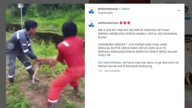 Sadis! Tiga Pria Pekerja Lempar Anjing Hidup-hidup untuk Makanan Buaya