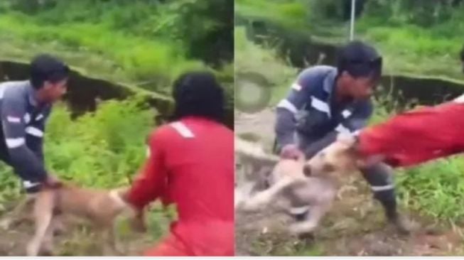 Polemik Pria Lempar Anjing ke Kolam Buaya: Dikecam Erick Thohir, Pelaku Jadi Tersangka