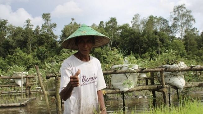 Petani budidaya holtikultura.