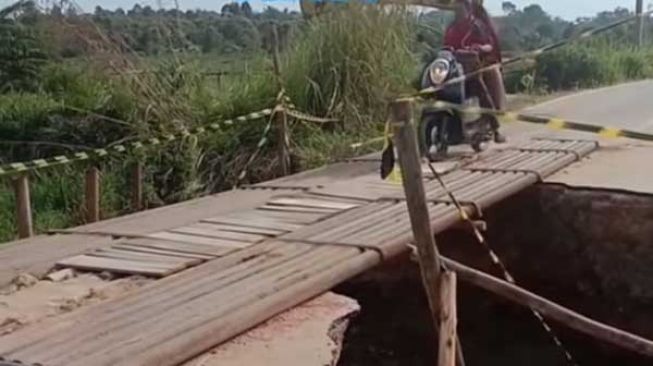 Bikin Miris! Jalan Amblas di Pelalawan, Bupati Kena Colek