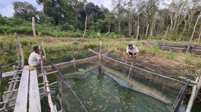 SMM Dorong Pemberdayaan Masyarakat Melalui Budidaya Komoditas Hortikultura untuk Kendalikan Inflasi