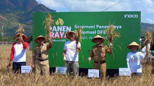 Terapkan Sistem Digital, Hasil Panen Raya Petani Padi di Selogiri Wonogiri Naik 50 Persen