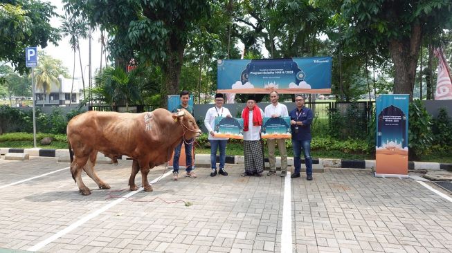 Telkomsel Salurkan 720 Hewan Kurban untuk 46.000 Penerima Manfaat