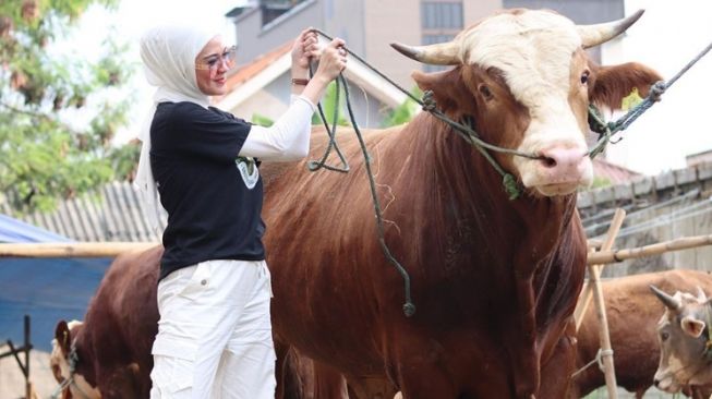 Potret Delia Septianti Jadi Juragan Sapi (Instagram/@deliaseptianti)