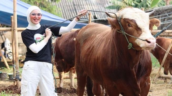 7 Potret Delia Septianti Jadi Juragan Sapi yang Cantik, Semakin Laris Jelang Hari Raya Idul Adha