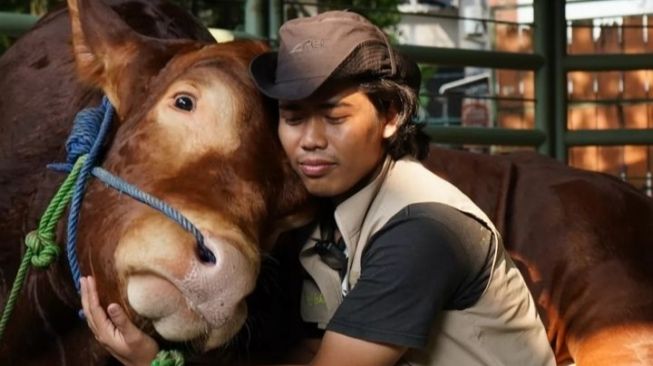 Bikin Mewek, Momen Perpisahan Perawat Sapi Golden yang Dibeli Irfan Hakim