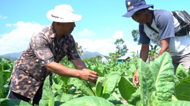 Petani di Lombok Barat Sambut Baik Bantuan Jalan usaha Tani dari Kementan