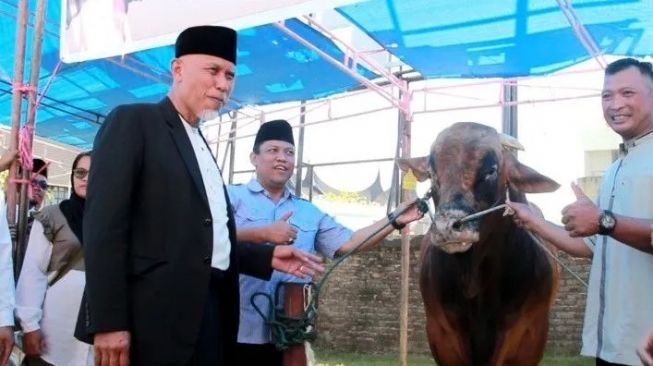 Meningkat Drastis, Pemprov Sumbar Sebar 83 Ekor Hewan Kurban ke Daerah 3T