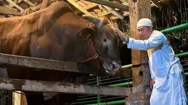 Ini Dampak Tukang Sembelih Asah Pisau Depan Hewan Kurban