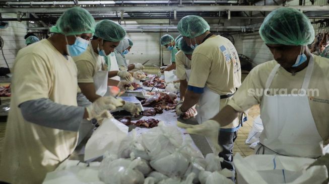 Pekerja memotong daging sapi kurban di Rumah Pemotongan Hewan (RPH) PD Dharma Jaya, Cakung, Jakarta Timur, Kamis (29/6/2023). [Suara.com/Alfian Winanto]