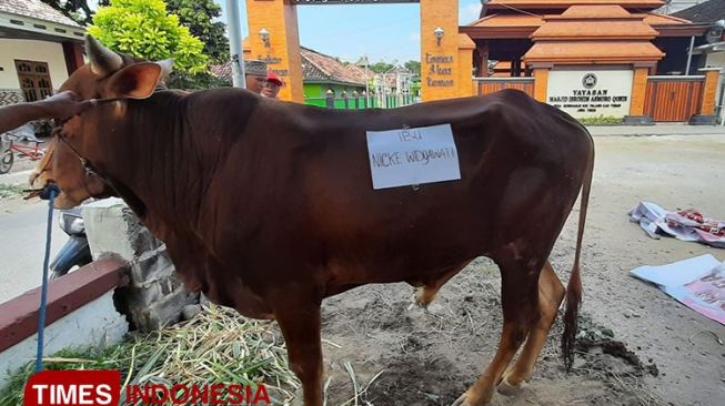 FSPPB Salurkan Empat Sapi dan Delapan Kambing di Tuban