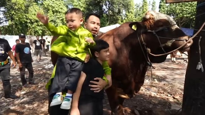 Momen Raffi Ahmad Potong Sapi Kurban (YouTube Rans Entertainment)