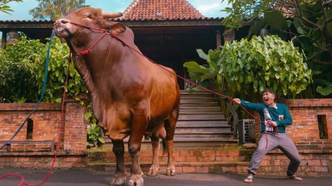 Momen haru kebersamaan Irfan Hakim dengan Wariso (Instagram/@irfanhakim75)