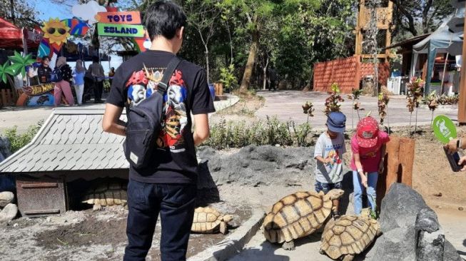 Jan Ethes Hibahkan Kura-kura Lucu untuk Koleksi Satwa Solo Safari