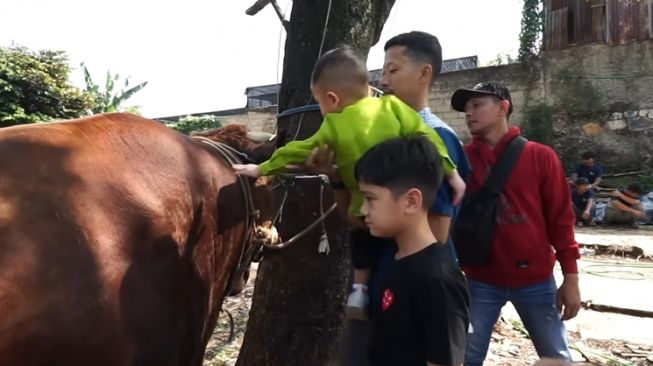 Momen Raffi Ahmad Potong Sapi Kurban (YouTube Rans Entertainment)