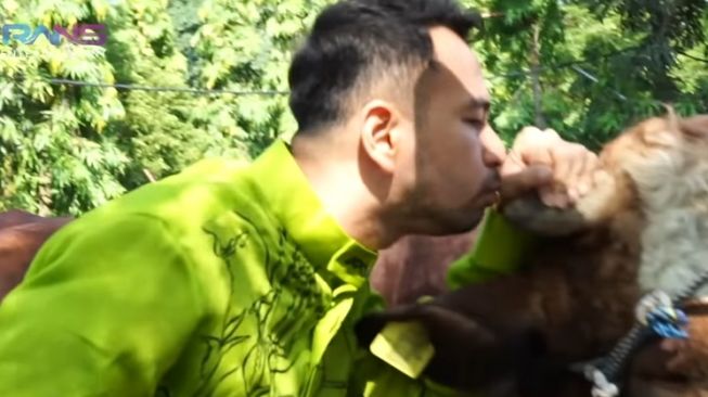 Momen Raffi Ahmad Potong Sapi Kurban (YouTube Rans Entertainment)